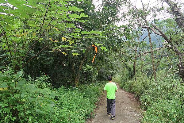 1091025塘湖古道 (55).JPG