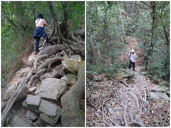 1091114唐麻丹山 (6).jpg 1091114唐麻丹山 (6).jpg