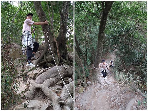 1091114唐麻丹山 (7).jpg 1091114唐麻丹山 (7).jpg