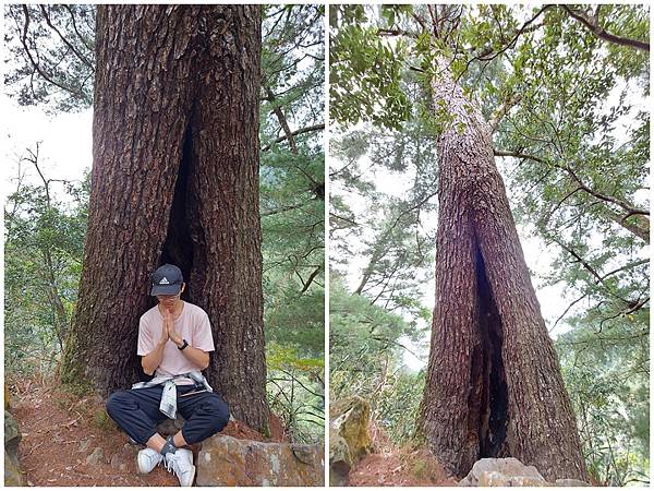 1091114唐麻丹山 (11).jpg 1091114唐麻丹山 (11).jpg