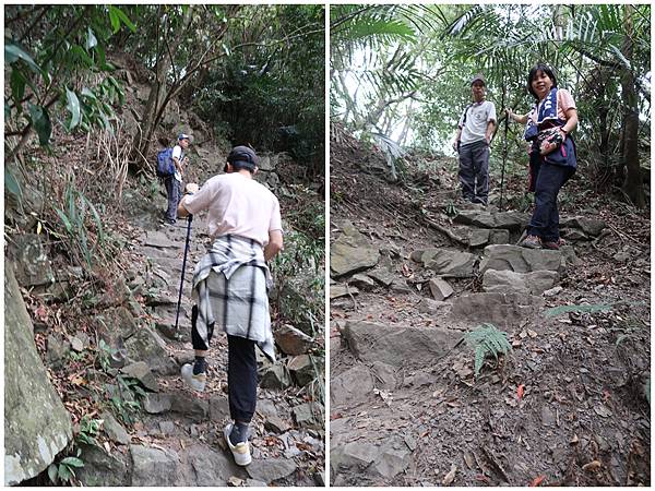 1091114唐麻丹山 (4).jpg 1091114唐麻丹山 (4).jpg