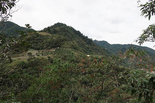 1091114唐麻丹山 (8).JPG 1091114唐麻丹山 (8).JPG