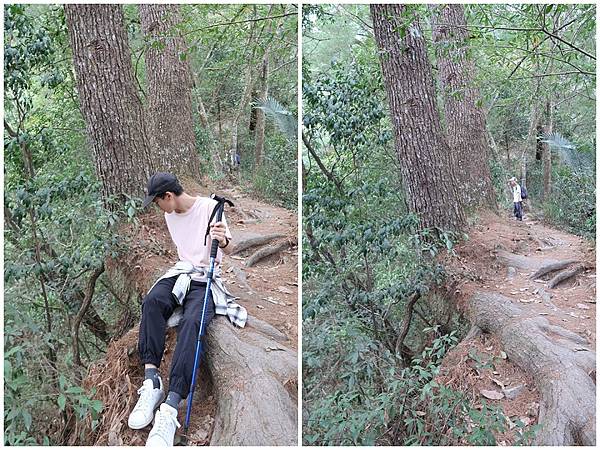 1091114唐麻丹山 (12).jpg 1091114唐麻丹山 (12).jpg