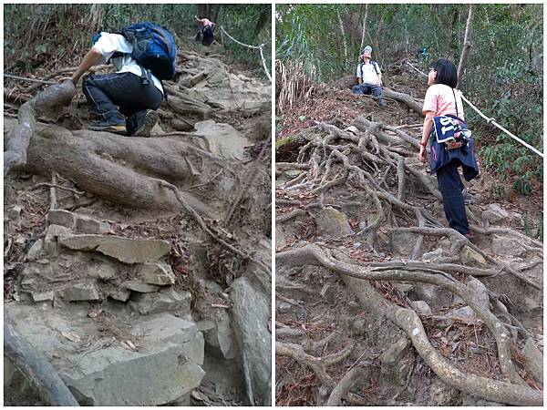 1091114唐麻丹山 (13).jpg 1091114唐麻丹山 (13).jpg