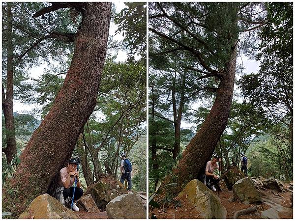 1091114唐麻丹山 (10).jpg 1091114唐麻丹山 (10).jpg