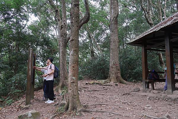 1091114唐麻丹山 (18).JPG 1091114唐麻丹山 (18).JPG