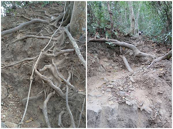 1091114唐麻丹山 (15).jpg 1091114唐麻丹山 (15).jpg