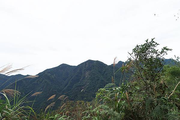 1091114唐麻丹山 (24).JPG 1091114唐麻丹山 (24).JPG