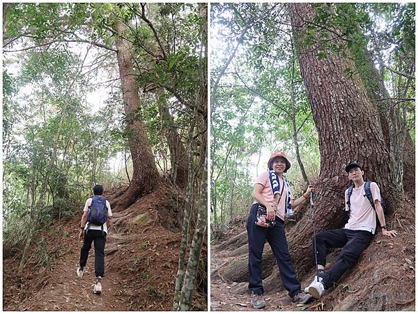 1091114唐麻丹山 (26).jpg 1091114唐麻丹山 (26).jpg