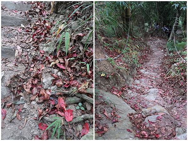 1091114唐麻丹山 (27).jpg 1091114唐麻丹山 (27).jpg