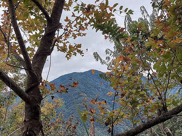 1091114唐麻丹山 (31).jpg 1091114唐麻丹山 (31).jpg