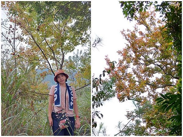 1091114唐麻丹山 (32).jpg 1091114唐麻丹山 (32).jpg