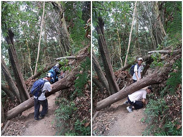 1091114唐麻丹山 (40).jpg 1091114唐麻丹山 (40).jpg