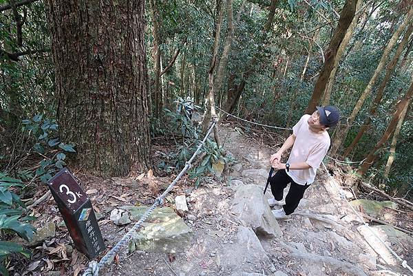 1091114唐麻丹山 (44).JPG 1091114唐麻丹山 (44).JPG