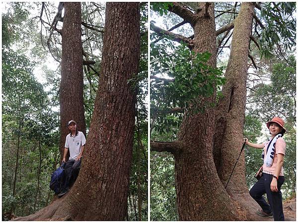 1091114唐麻丹山 (49).jpg 1091114唐麻丹山 (49).jpg