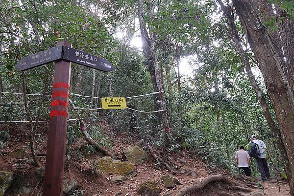 1091114唐麻丹山 (48).JPG 1091114唐麻丹山 (48).JPG