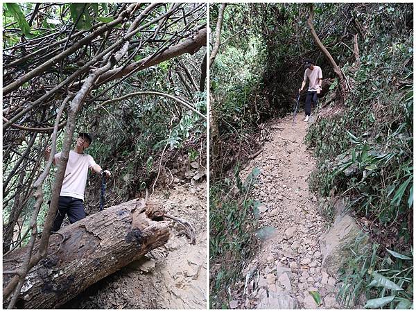 1091114唐麻丹山 (55).jpg 1091114唐麻丹山 (55).jpg