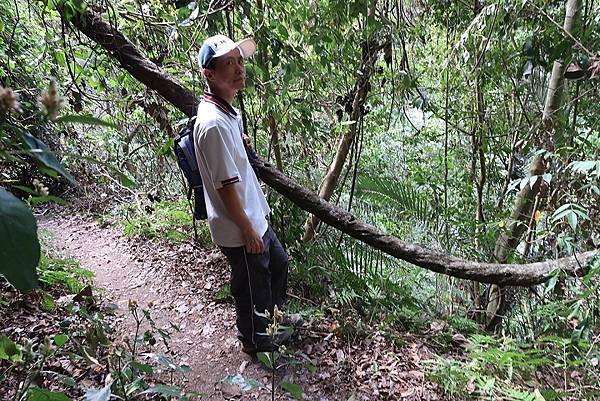 1091114唐麻丹山 (54).JPG 1091114唐麻丹山 (54).JPG