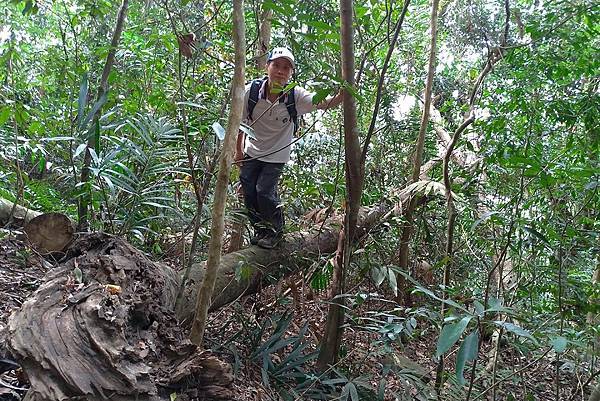 1091114唐麻丹山 (59).jpg 1091114唐麻丹山 (59).jpg