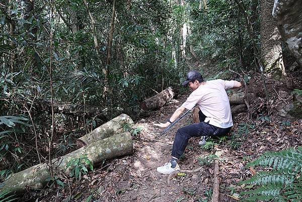 1091114唐麻丹山 (60).JPG 1091114唐麻丹山 (60).JPG