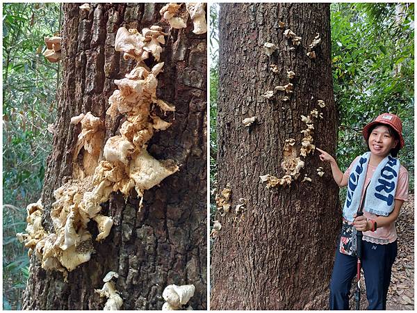 1091114唐麻丹山 (58).jpg 1091114唐麻丹山 (58).jpg