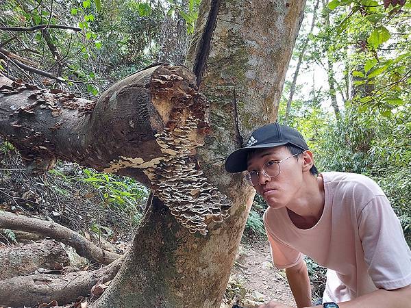 1091114唐麻丹山 (62).jpg 1091114唐麻丹山 (62).jpg