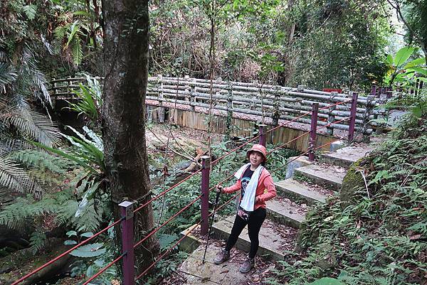 1091128草嶺 (11).JPG 1091128草嶺 (11).JPG