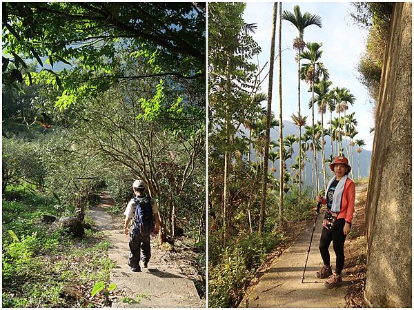 1091128草嶺 (8).jpg 1091128草嶺 (8).jpg