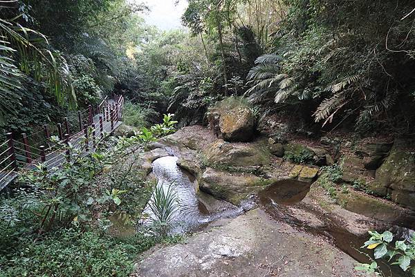 1091128草嶺 (12).JPG 1091128草嶺 (12).JPG