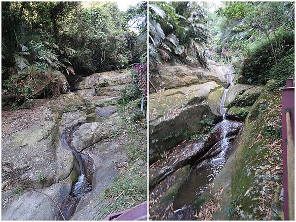 1091128草嶺 (14).jpg 1091128草嶺 (14).jpg