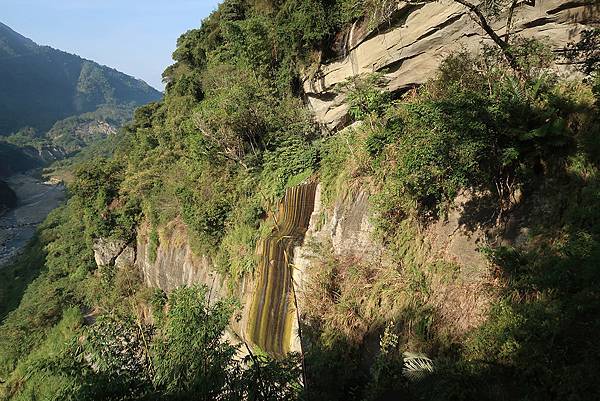 1091128草嶺 (23).JPG 1091128草嶺 (23).JPG