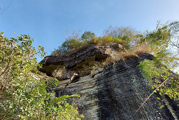 1091128草嶺 (25).jpg 1091128草嶺 (25).jpg