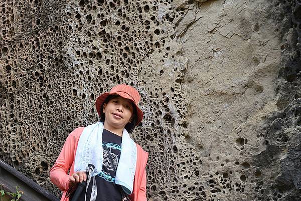 1091128草嶺 (26).JPG 1091128草嶺 (26).JPG