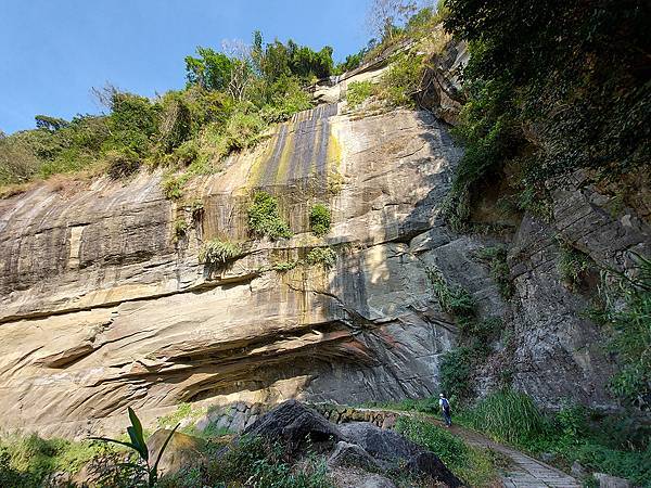 1091128草嶺 (29).jpg 1091128草嶺 (29).jpg