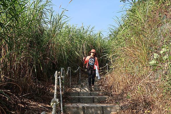 1091128草嶺 (36).JPG 1091128草嶺 (36).JPG