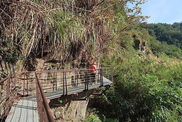 1091128草嶺 (40).JPG 1091128草嶺 (40).JPG