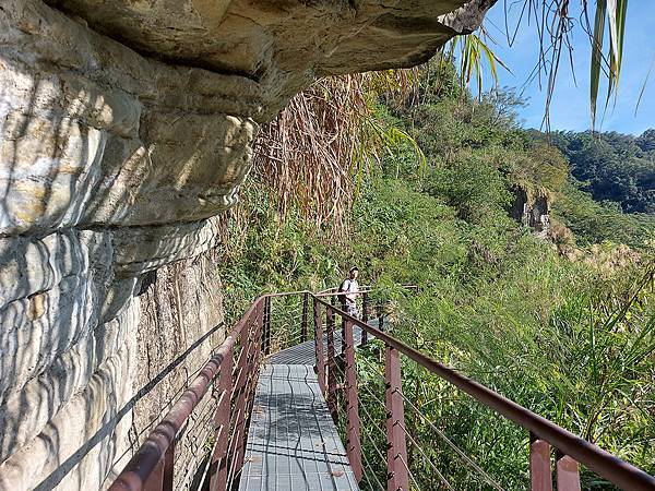 1091128草嶺 (39).jpg 1091128草嶺 (39).jpg