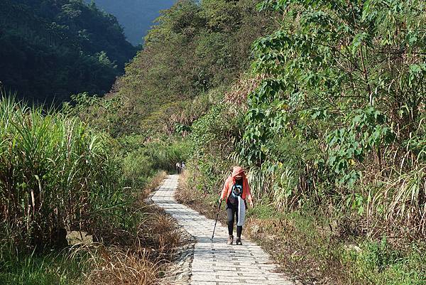 1091128草嶺 (41).JPG 1091128草嶺 (41).JPG