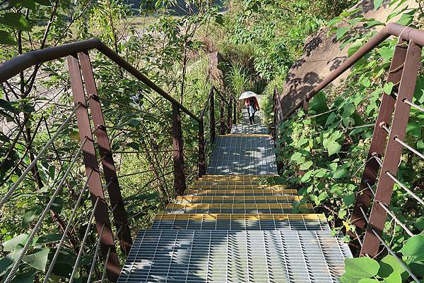 1091128草嶺 (43).JPG 1091128草嶺 (43).JPG