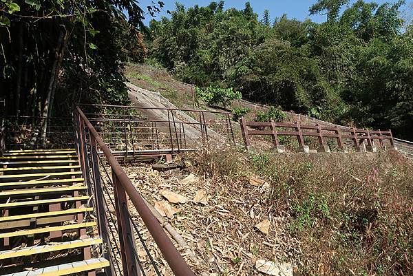 1091128草嶺 (44).JPG 1091128草嶺 (44).JPG