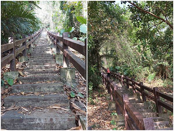 1091128草嶺 (51).JPG 1091128草嶺 (51).JPG