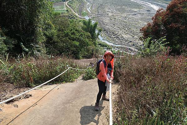 1091128草嶺 (50).JPG 1091128草嶺 (50).JPG