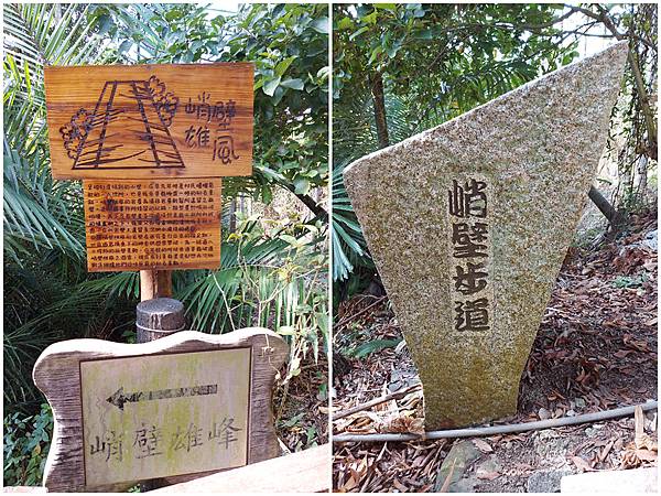 1091128草嶺 (52).jpg 1091128草嶺 (52).jpg