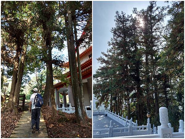 1091128草嶺 (60).jpg 1091128草嶺 (60).jpg