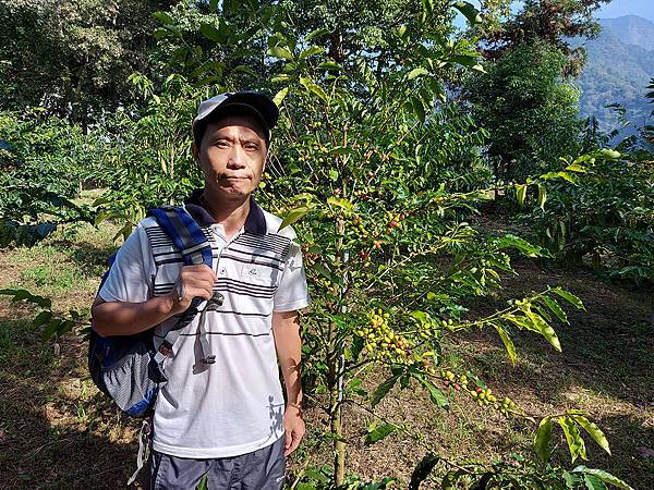 1091128草嶺 (61).jpg 1091128草嶺 (61).jpg