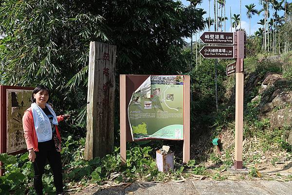 1091128草嶺 (63).JPG 1091128草嶺 (63).JPG