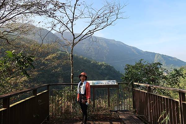 1091128草嶺 (19)a.JPG 1091128草嶺 (19)a.JPG