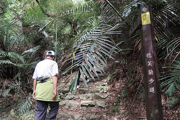 1091113谷關德芙蘭步道 (9).JPG