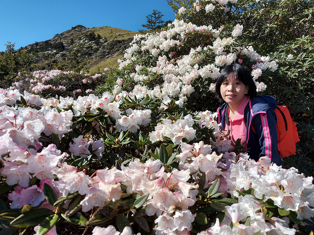 1100424合歡山玉山杜鵑 (48).jpg