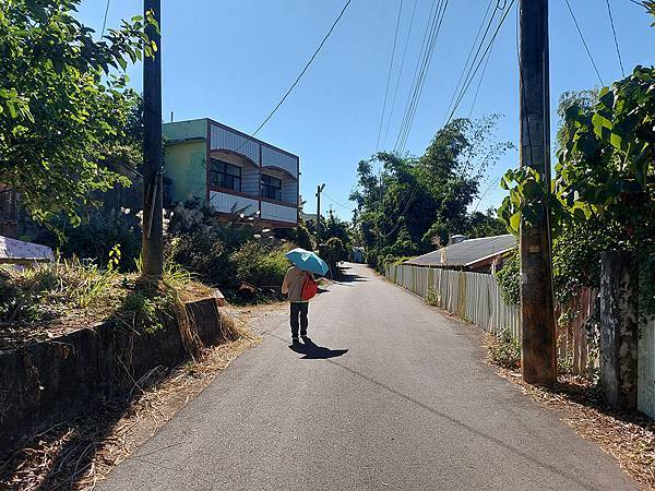 藤山步道 (25).jpg